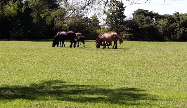La Isolina Club de Campo