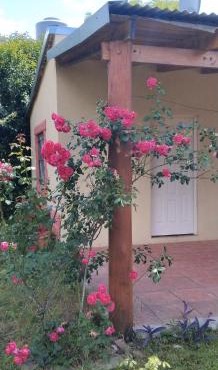 La lechuza