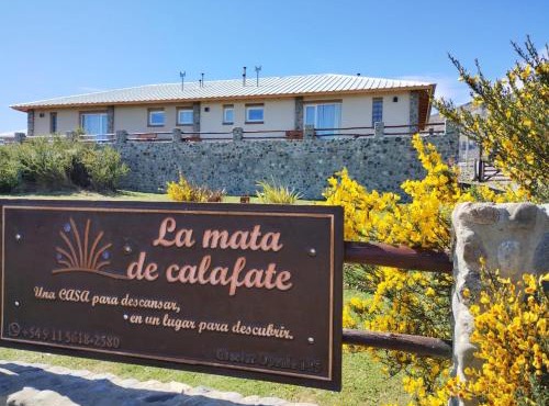 La mata de calafate