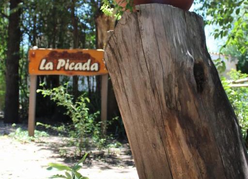 La picada