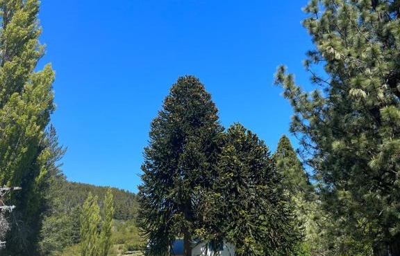 La Rinconada Ranch