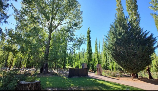 Las margaritas