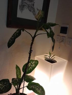 Loft Turístico