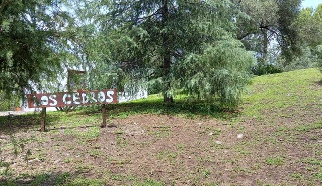 Los Cedros