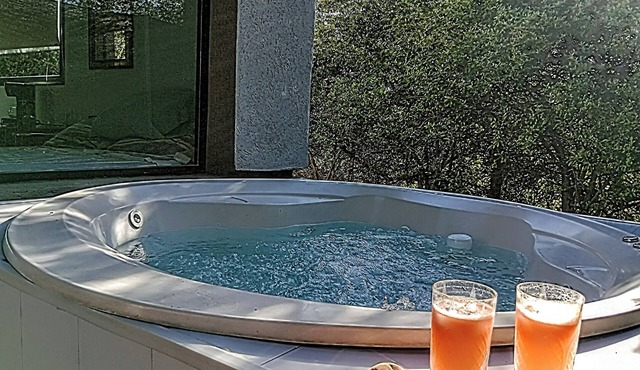 Luminous one-bedroom with outdoor Jacuzzi
