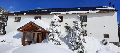 Maneco Hostel in Caviahue