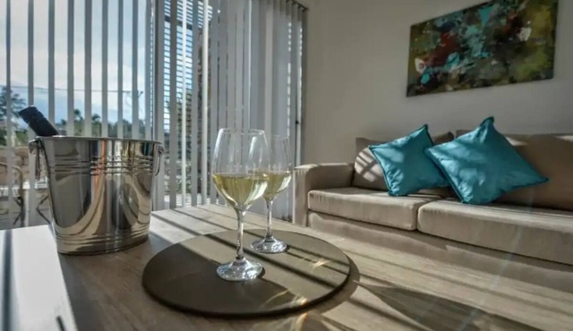 Modern Apartment on Wine Route, winery region.