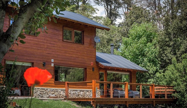 Modern, spacious house for 8 people in a native Patagonian forest