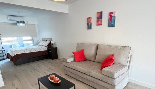 Modern studio apartment with balcony in Almagro