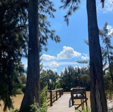 Muelle Delta Arias - EN TIGRE ISLA -