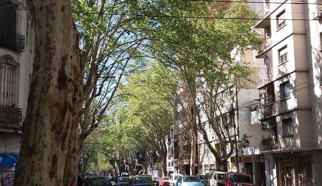 Nice Apartment 344ft²/32m² 1br Almagro (CABA - Almagro)
