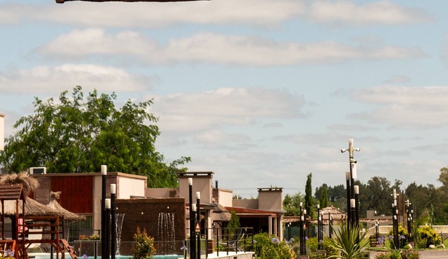 Olivos de Monte