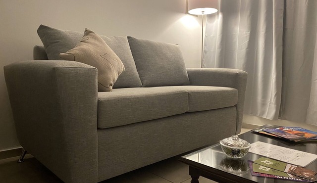 Palace Apartments Mendoza is a space for an ideal stay.