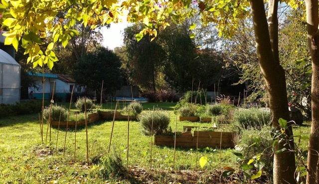 Peace & quiet place. Vegetable garden.