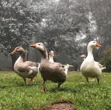 Posada Tanti El Durazno