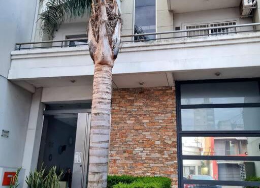 Precioso departamento en zona gastronomica con cochera