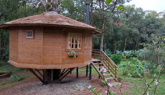 Quemeninho Treehouse - an Atlantic Forest refuge in the heart of PETAR