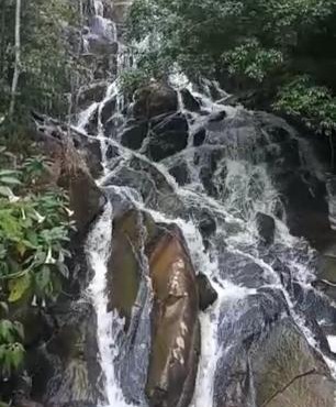 Rancho do Pijuca - Usina Mauá