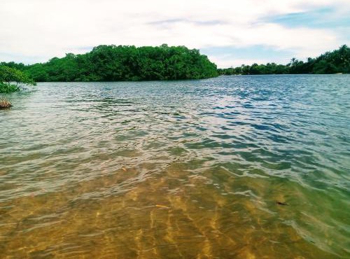 River House