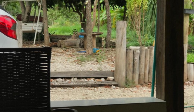 Sitio Frutas do Cerrado
