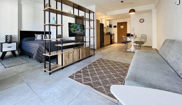 Spacious and Luminous Studio in Saavedra