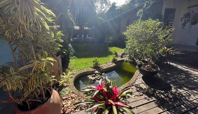 Suites in a cozy house with lots of greenery and a swimming pool.