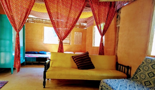 Tall dick! Charming little house in the middle of the Golden Lion Mico Reserve in Correntezas