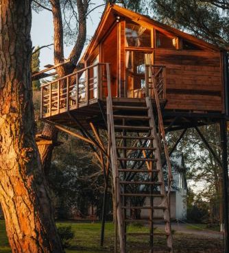 Treehouse Elena