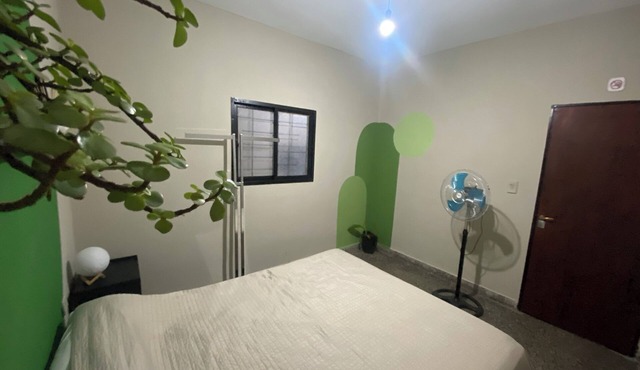 Urban Jungle Hostel
