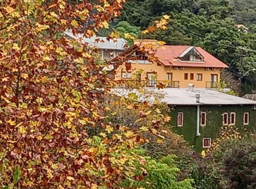 Vinicola e Pousada Peculiare