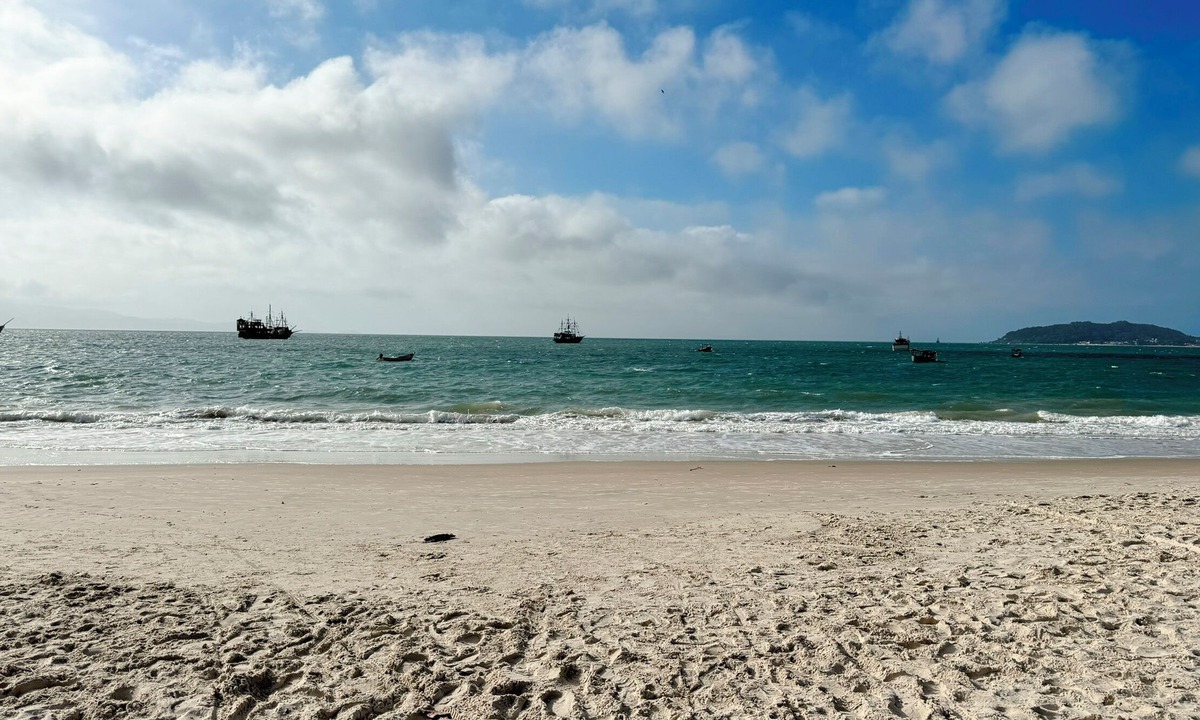 Cachoeira do Bom Jesus House | Cozy house 100 meters from the beach