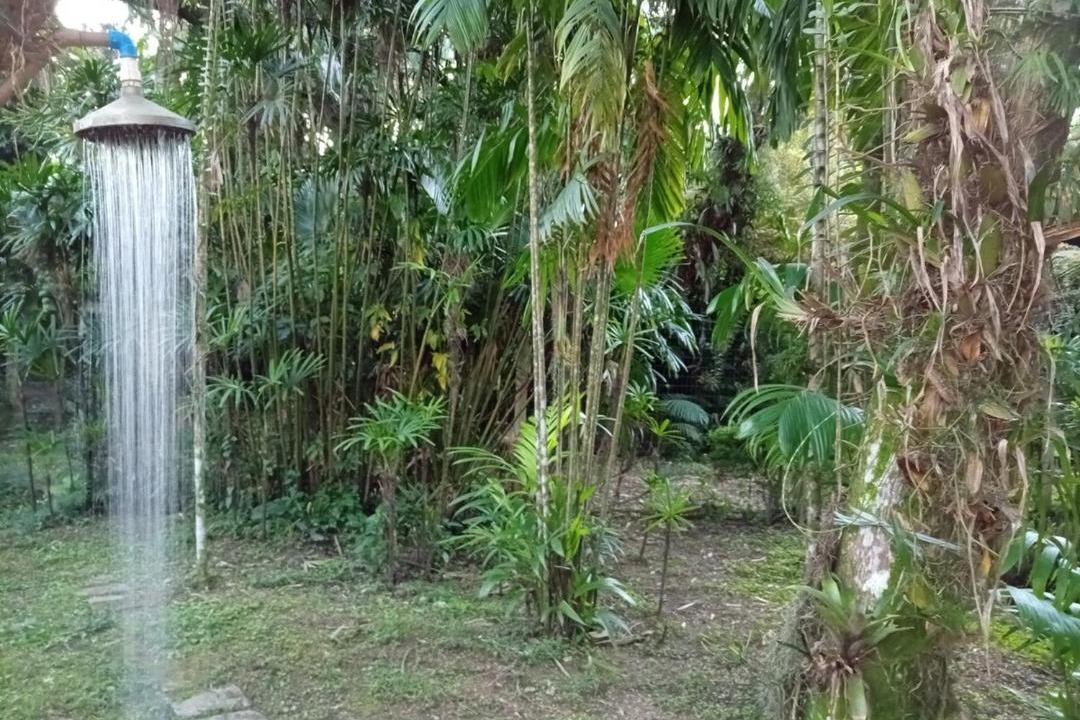 Vargem Grande House | JungleHouseRio - Casa Vista lago 3 Quartos até 7 Pessoas Vargem Grande e Recreio RJ
