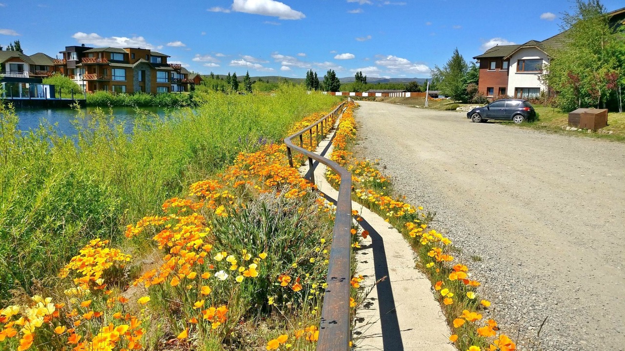 Photo of Others in Dina Huapi