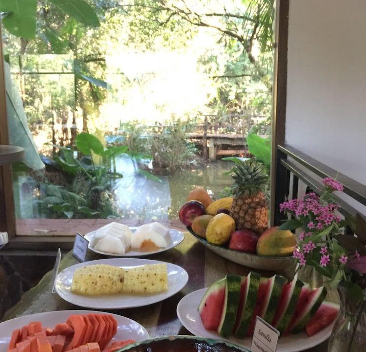 Photo of Patio Balcony in Zona Granja
