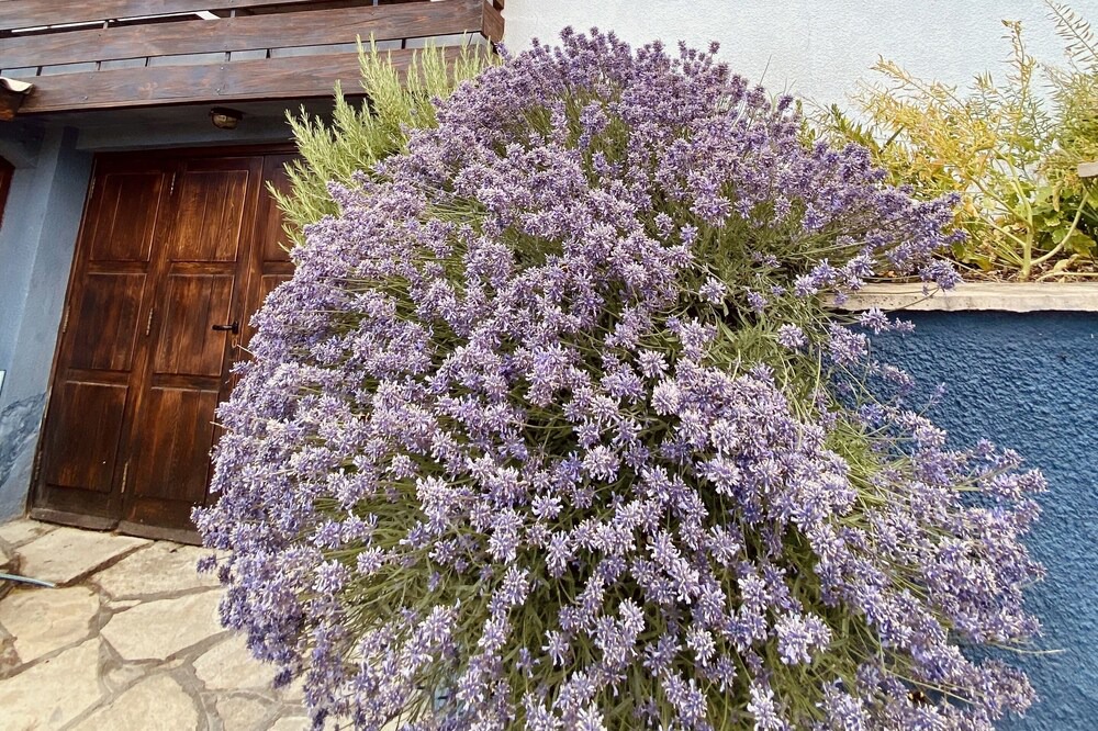 Photo of Outdoor in San Carlos de Bariloche