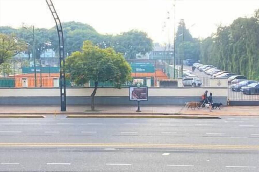 Photo of Outdoor in Nunez