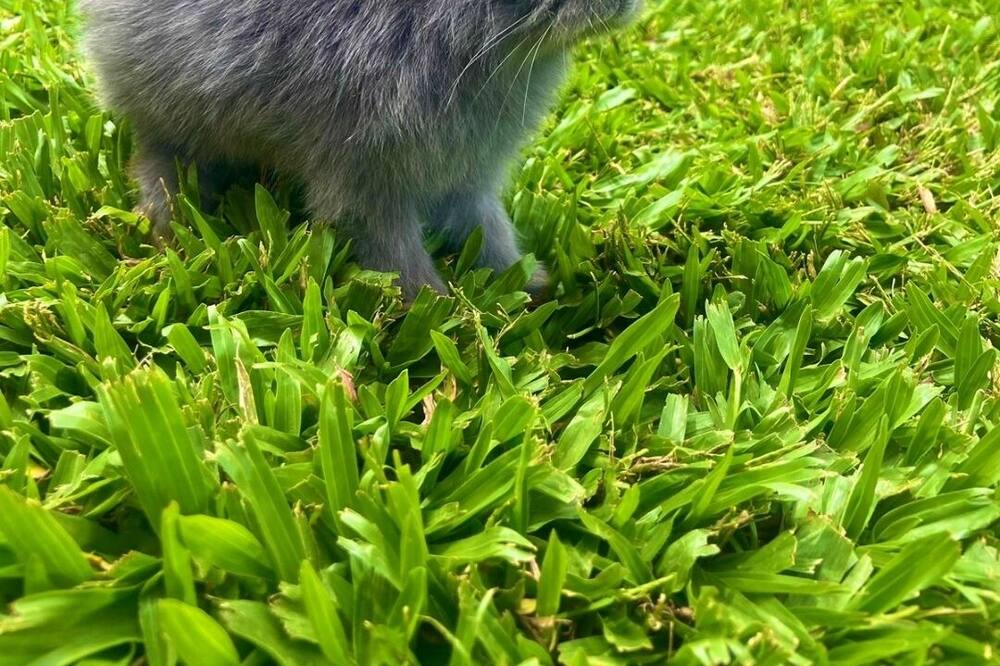 Photo of Outdoor in Jardim Carvalho