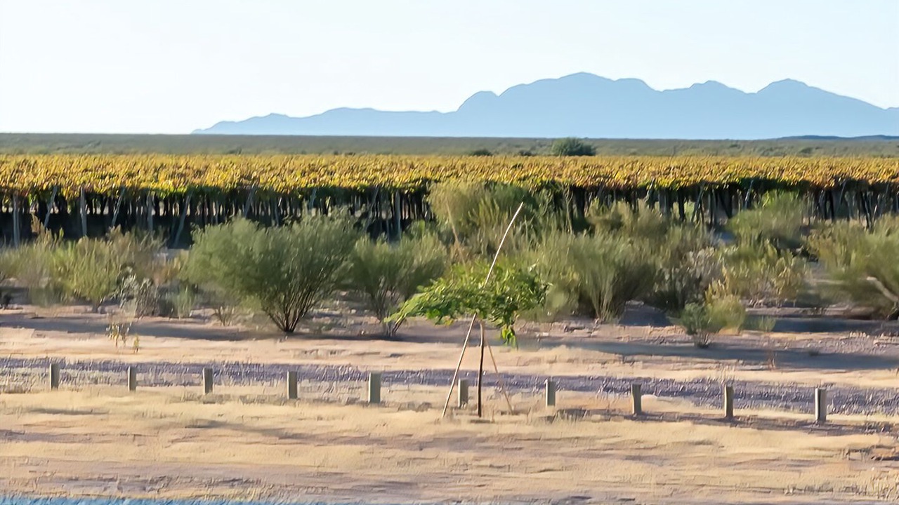 Photo of Bedroom in San Blas de los Sauces Department