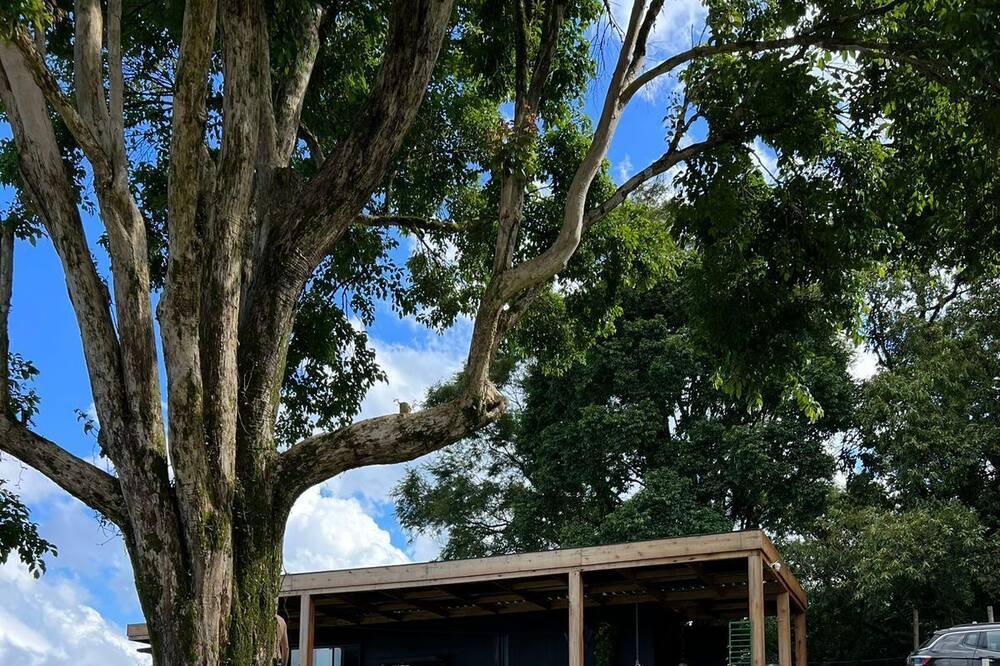 Photo of Outdoor in Rio dos Cedros