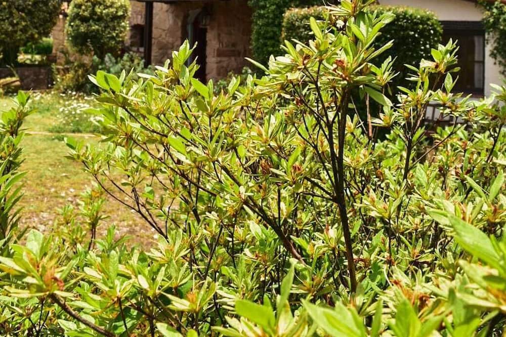 Photo of Outdoor in Villa Berna