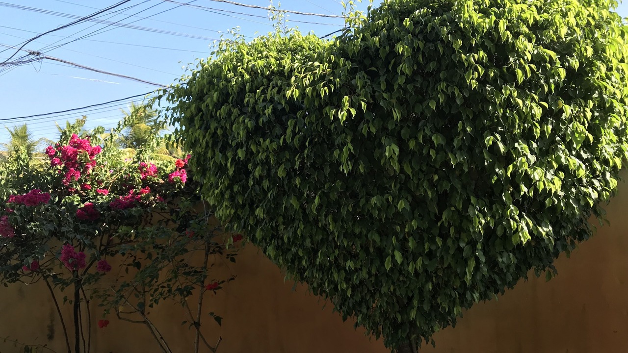 Photo of Outdoor in Centro