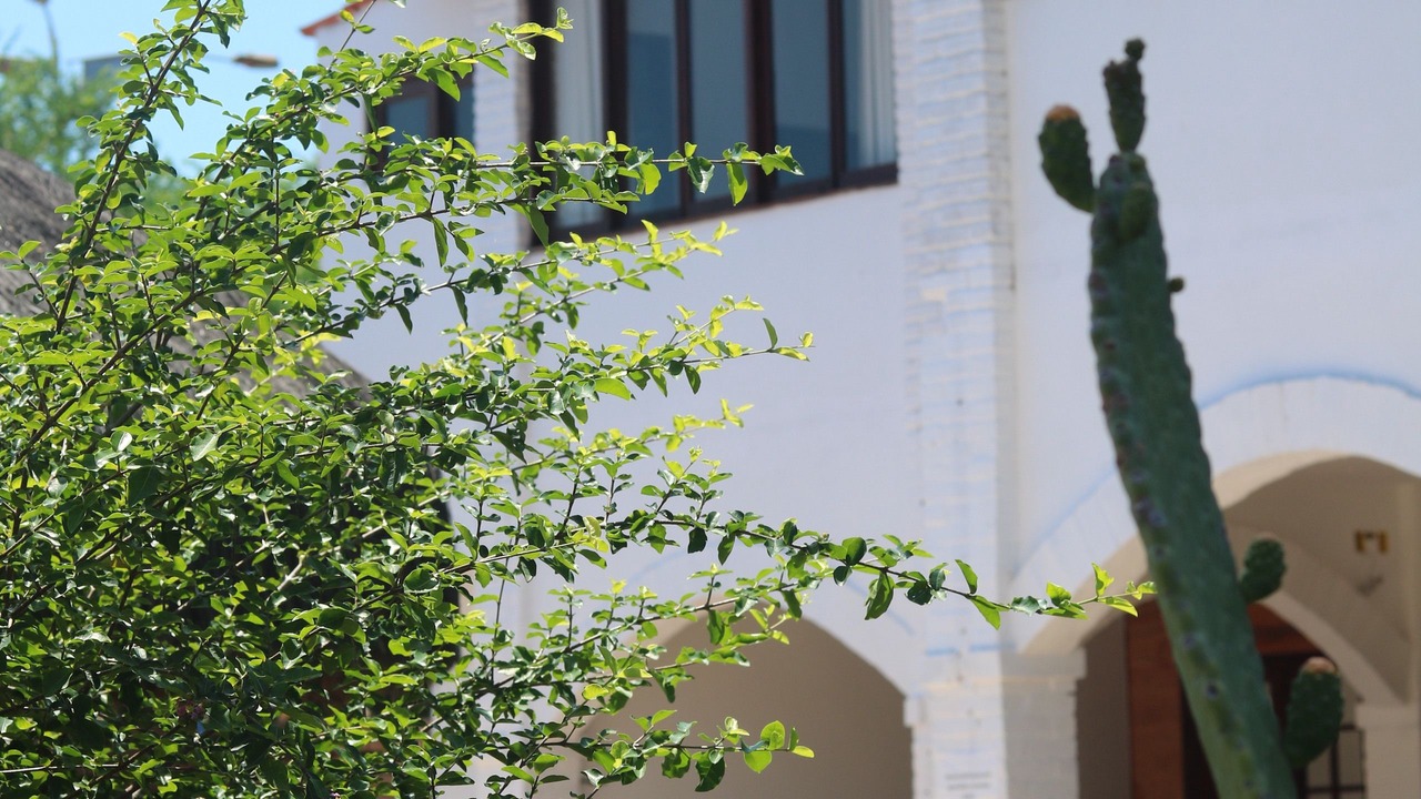 Photo of Outdoor in Centro