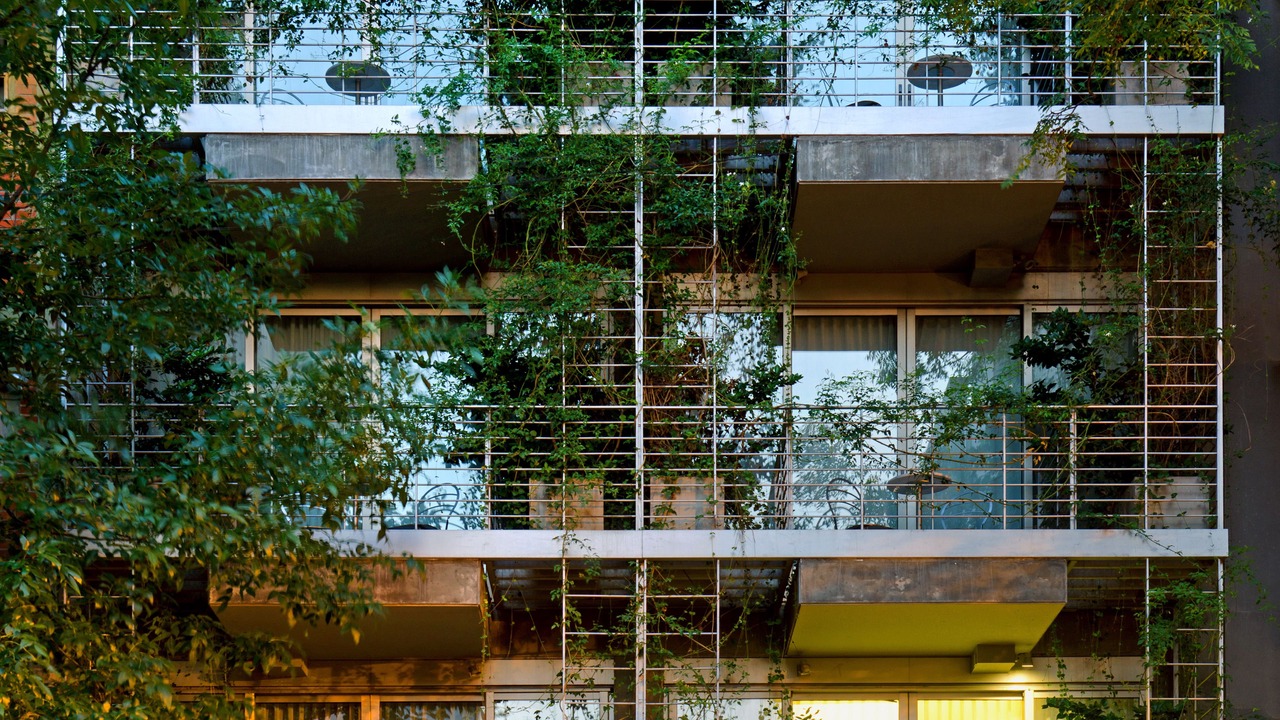 Photo of Outdoor in Palermo