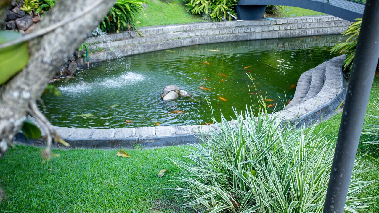 Photo of Outdoor in Distrito Industrial