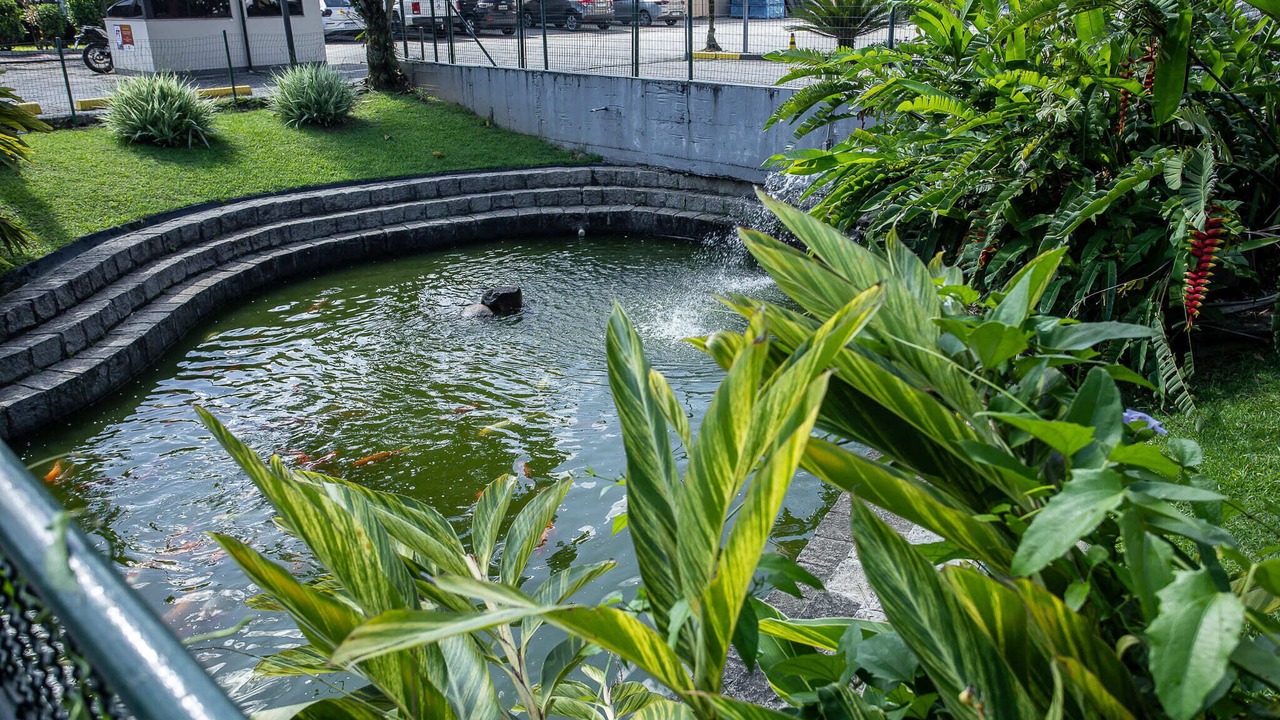 Photo of Outdoor in Distrito Industrial