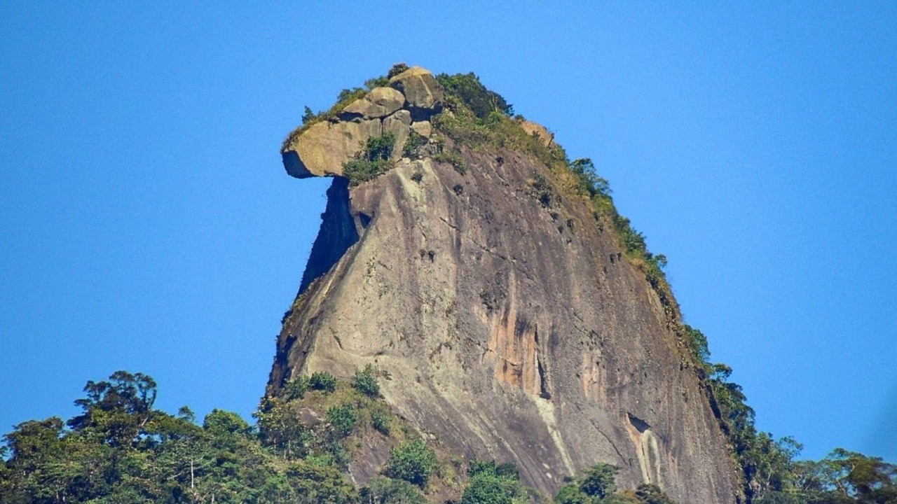 Photo of Outdoor in Parque das Palmeiras