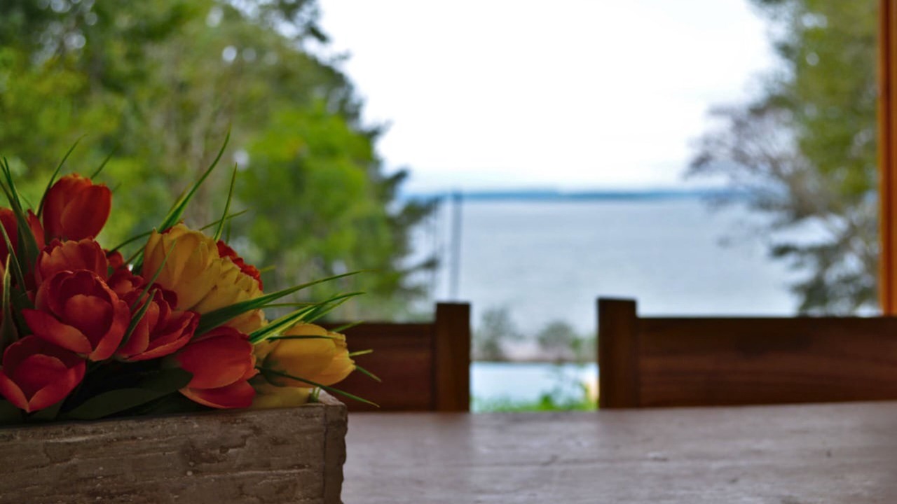 Photo of Outdoor in Puerto Libertad