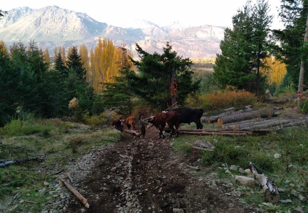 Photo of Outdoor in El Hoyo