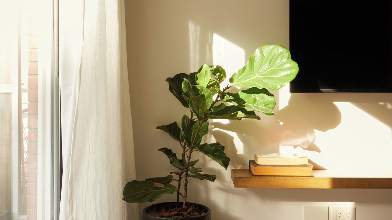 Photo of Bedroom in Recoleta