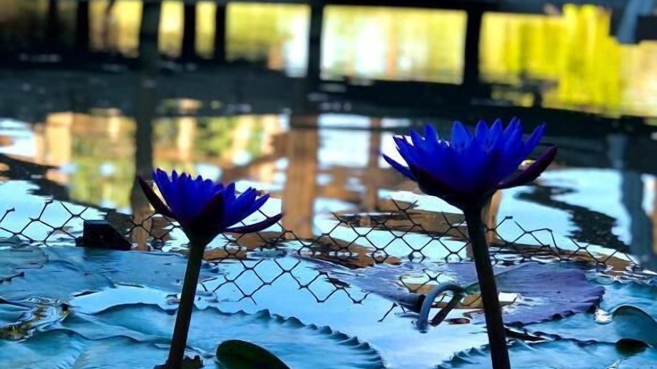Photo of Outdoor in Praia Grande